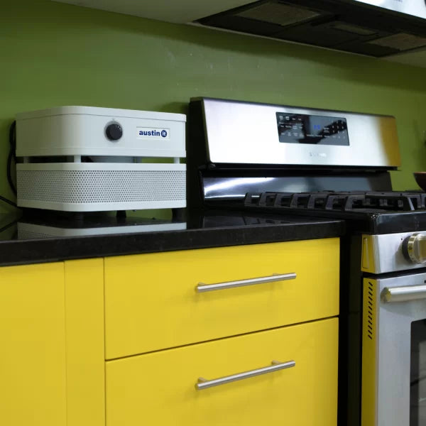 Austin Air - "it" with VOC Carbon Wrap