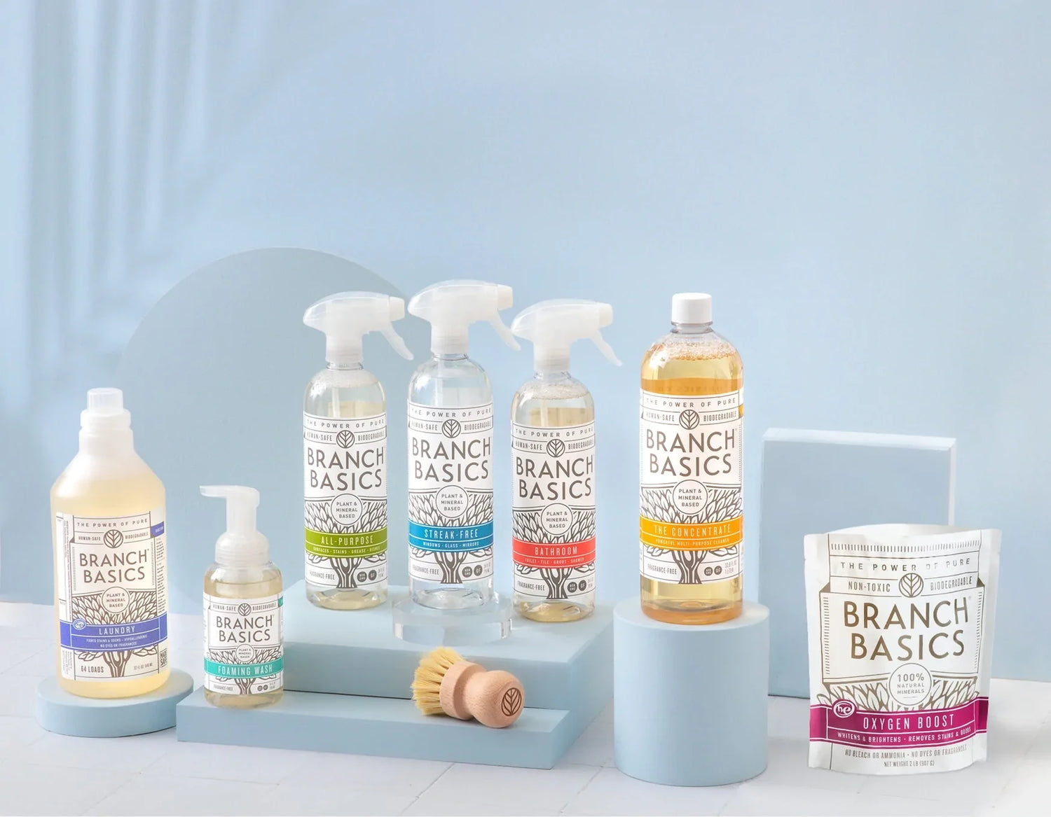 Branch Basics - Starter Kit