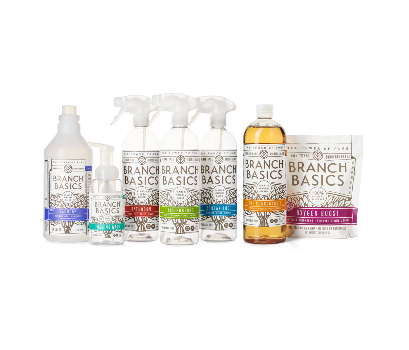 Branch Basics - Starter Kit