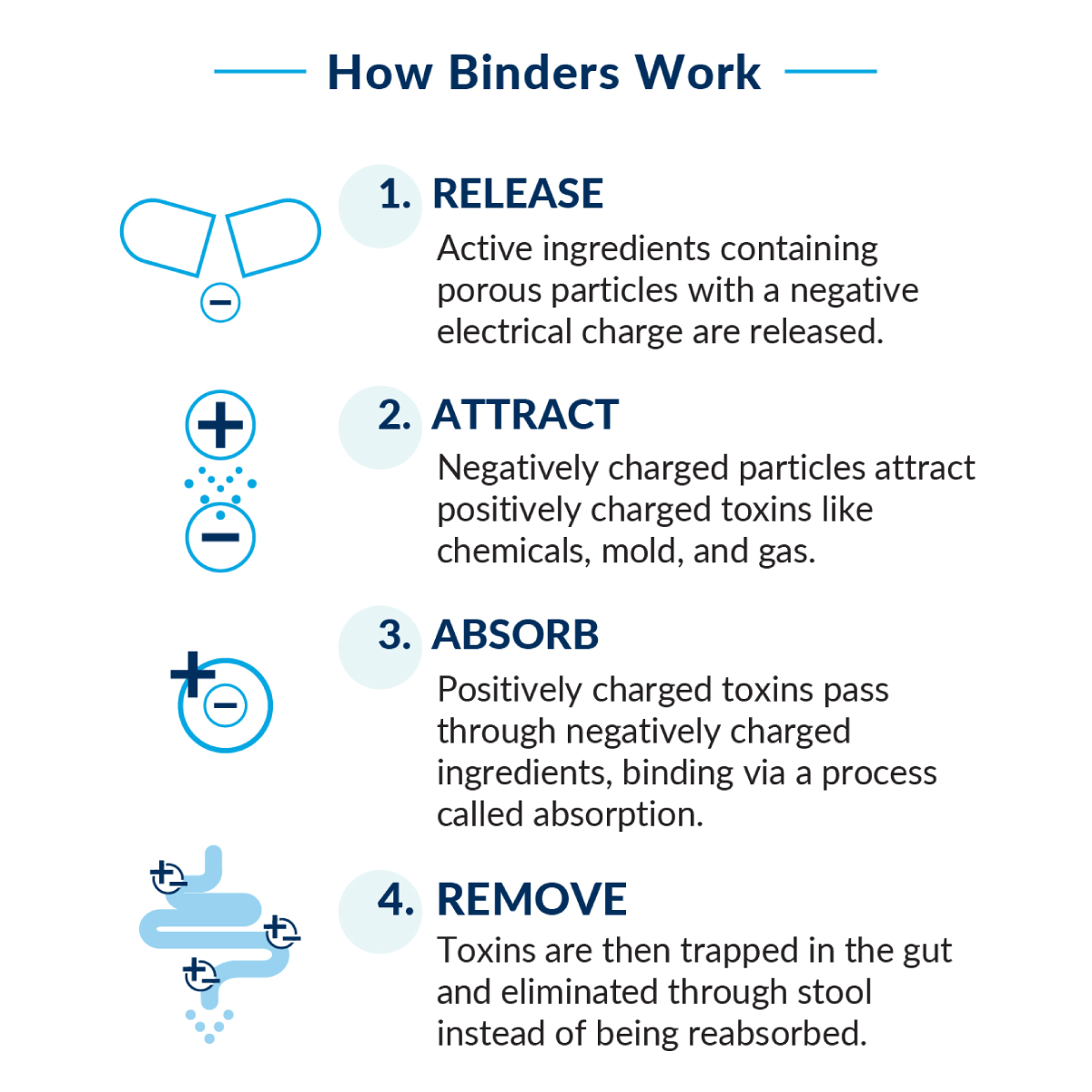 EquiLife Universal Binder