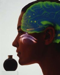 TherAroma - Essential Oil Diffuser by Therasage