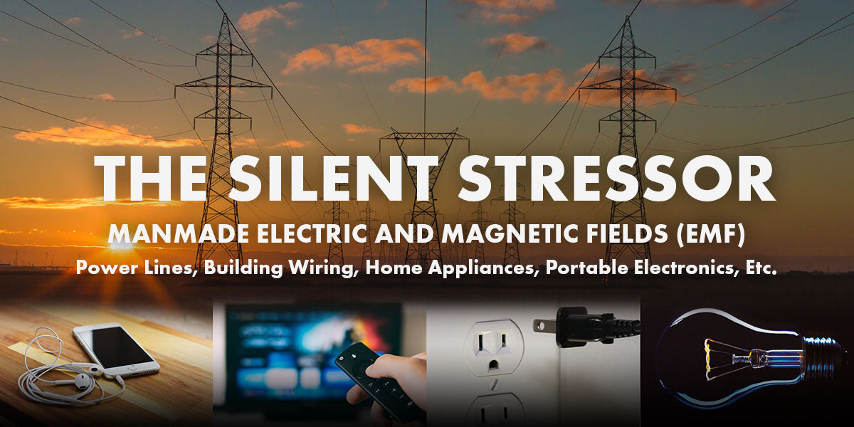 Man made electric and magnetic Fields (EMF) - Wellness Products of the World