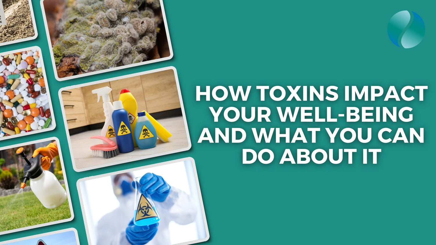 How Toxins Impact Your Well-Being and What You Can Do About It