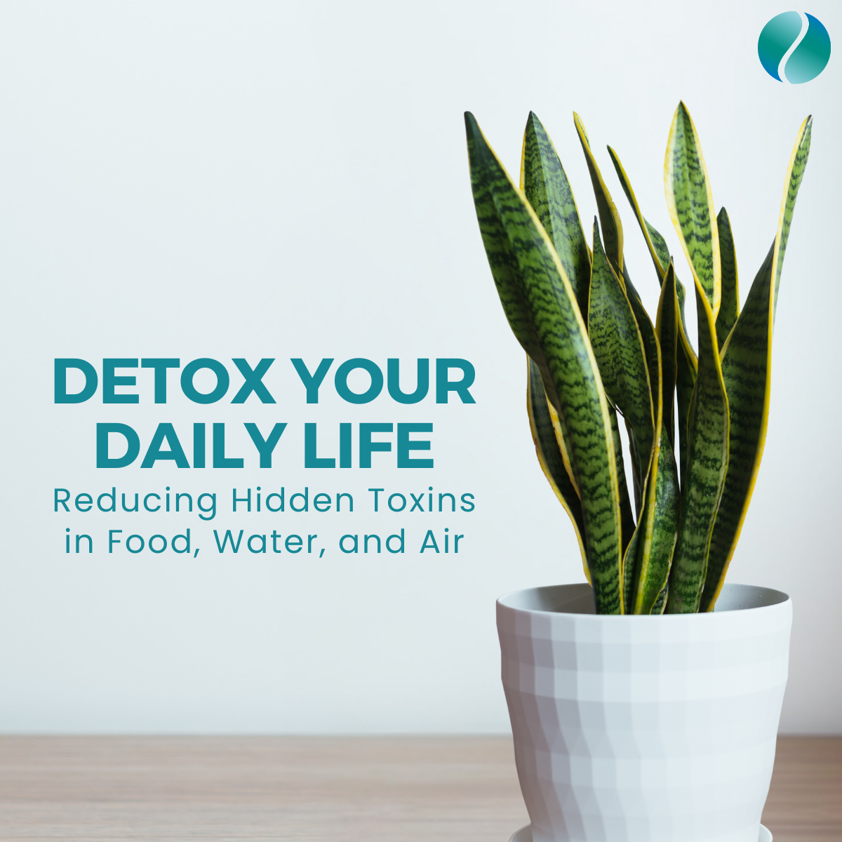 Detox Your Daily Life: Reducing Hidden Toxins in Food, Water, and Air