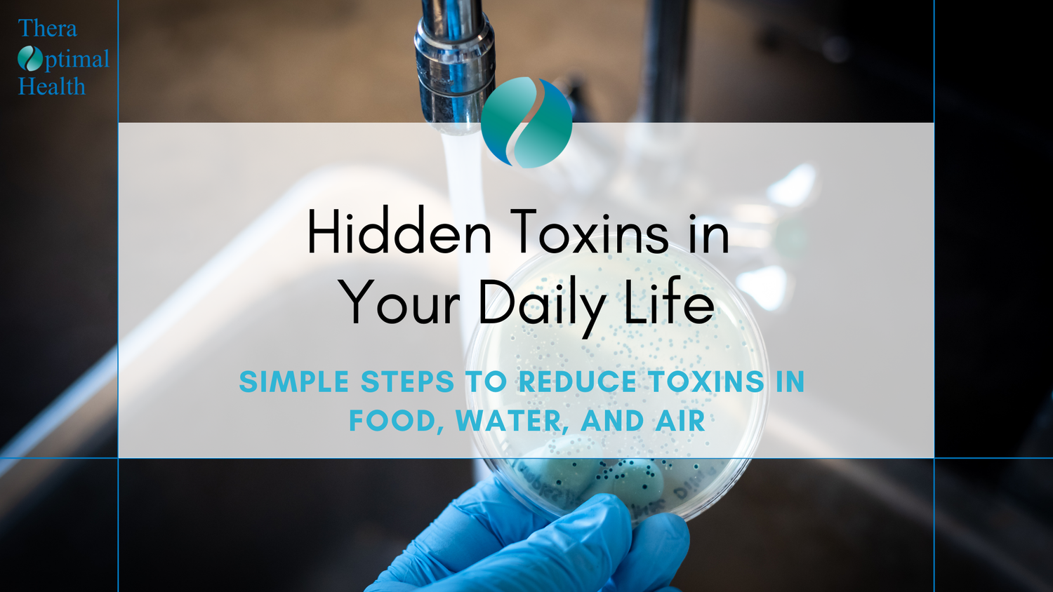 Hidden Toxins in Your Daily Life: Simple Steps to Reduce Toxins in Food, Water, and Air