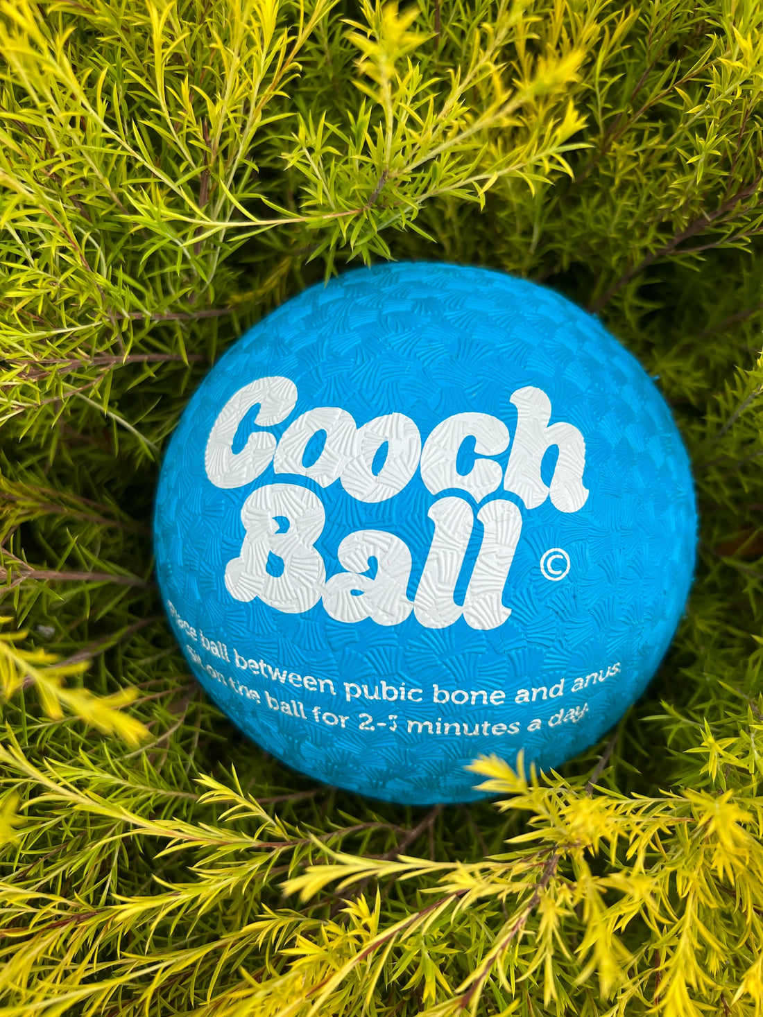 Cooch Ball (Bloom Better)