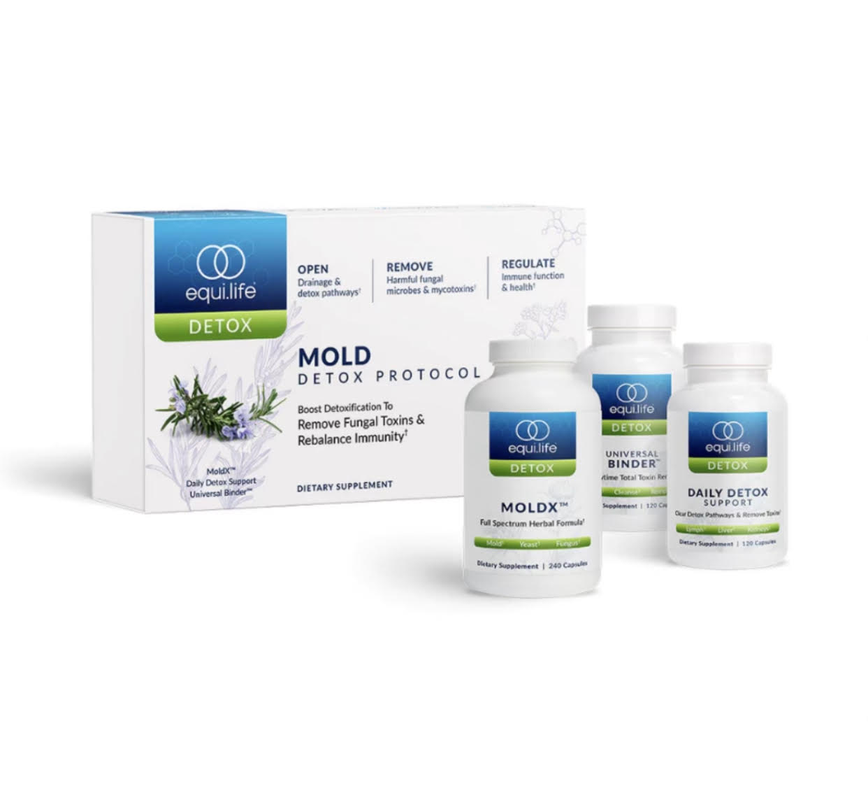 EquiLife Mold Protocol